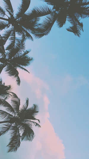 Cute Aesthetic Ipad Palm Trees Wallpaper