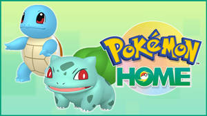Cute And Comfy - Squirtle Lighting Up Your Home Wallpaper