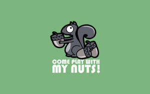 Cute And Funny Squirrel Wallpaper