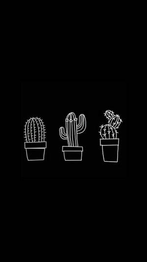 Cute Black Cactus Aesthetic Wallpaper