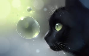 Cute Black Cat And Bubble Wallpaper
