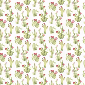 Cute Cactus Flower Wallpaper
