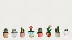 Cute Cactus Little Pots Wallpaper