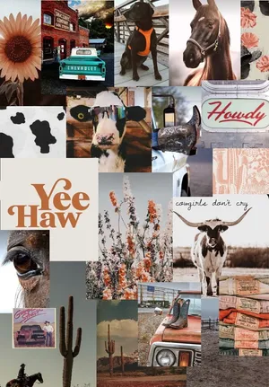 Cute Country Aesthetic Images Collage Wallpaper