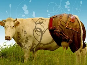 Cute Cow Outfit Wallpaper