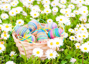 Cute Easter Egg Daisy Wallpaper