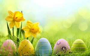 Cute Easter Flowers And Eggs Wallpaper