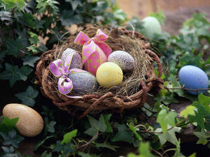 Cute Easter Nest Wallpaper