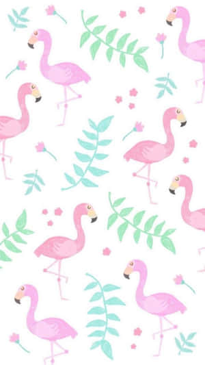 Cute Flamingo Birds Girly Tumblr Wallpaper