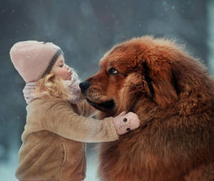 Cute Girl With Big Brown Dog Wallpaper