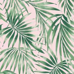 Cute Glossy Leaves Fern Painting Wallpaper