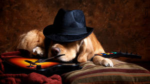 Cute Golden Retriever With Hat And Guitar Wallpaper
