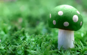 Cute Green Mushroom Wallpaper