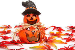 Cute Halloween Autumn Jack O' Lantern Wallpaper