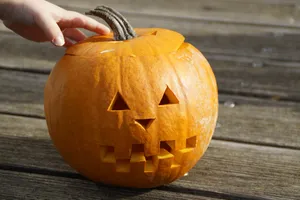 Cute Halloween Pumpkin Touch Wallpaper