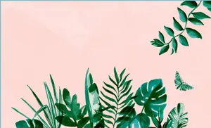 Cute Leaves Indoor Plants Wallpaper