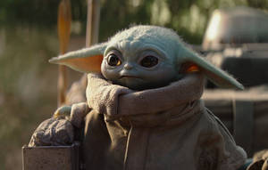 Cute Look Of Baby Yoda Wallpaper