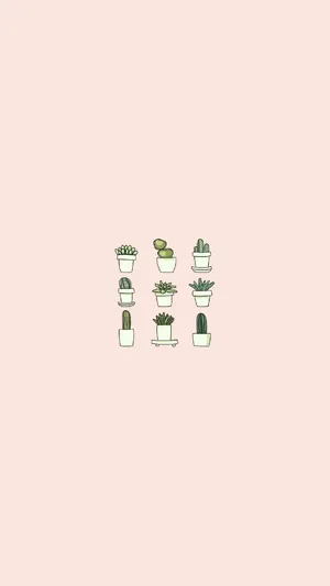 Cute Minimalist Succulents Wallpaper