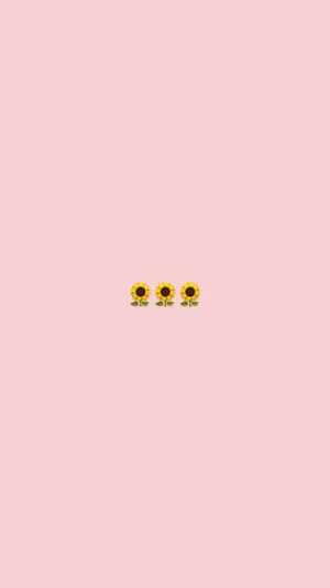 Cute Mobile Sunflower Wallpaper