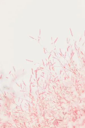 Cute Pastel Pink Grains Wallpaper