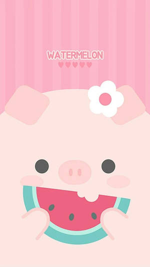 Cute Pig With Watermelon Wallpaper