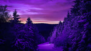 Cute Purple Aesthetic Pine Tree Mountain Wallpaper