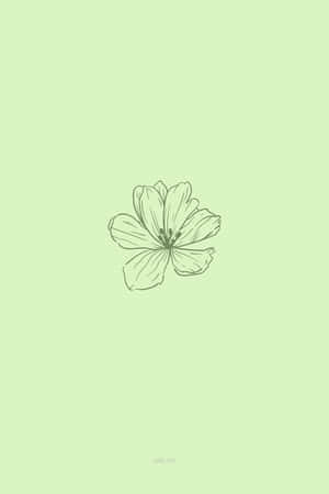 Cute Sage Green Flower Drawn On The Center Wallpaper