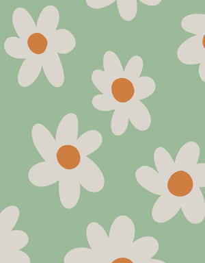 Cute Sage Green White Daisies With Solid Petals Wallpaper