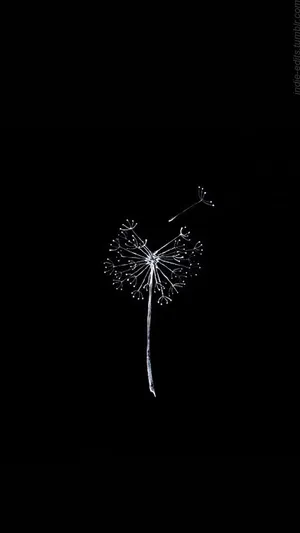 Cute Simple Dandelion Wallpaper