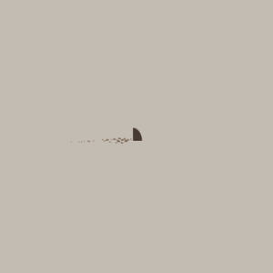 Cute Simple Shark Fin Wallpaper