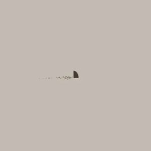 Cute Simple Shark Fin Wallpaper