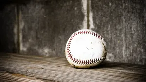 Cute Softball In Wood Wallpaper