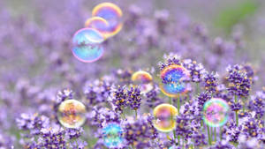 Cute Spring Bubbles Wallpaper