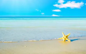 Cute Summer Starfish At Beach Wallpaper
