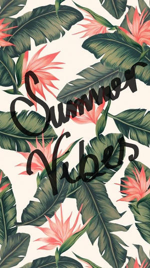Cute Summer Vibes Wallpaper