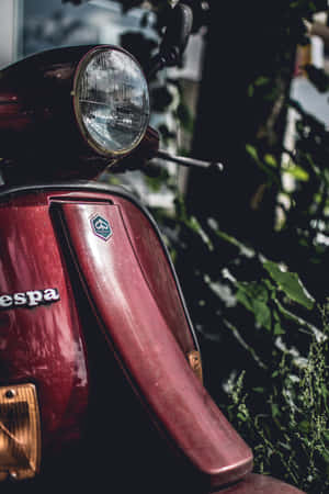 Cute Vintage Red Scooter Wallpaper