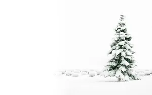 Cute White Christmas Tree Snow Wallpaper
