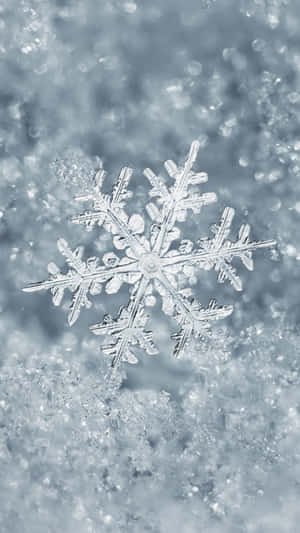 Cute Winter Snowflake In Middle Phone Wallpaper