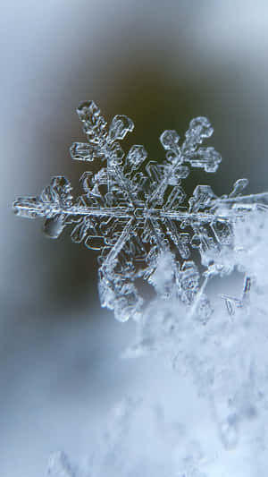 Cute Winter Snowflake Phone Wallpaper