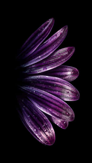 Cutting Edge 4k Super Amoled Phone Wallpaper