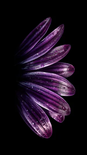 Cutting Edge 4k Super Amoled Phone Wallpaper