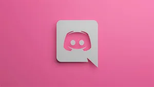 Dainty Pink Discord Art Wallpaper
