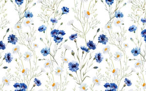Daisy Art Spring Aesthetic Wallpaper