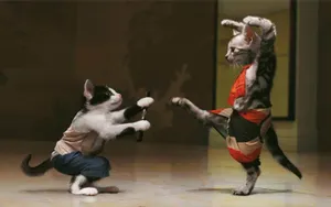 Dancing_ Cats_in_ Costumes.jpg Wallpaper