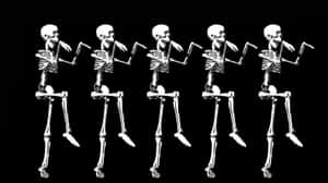 Dancing_ Skeletons_ Silhouette Wallpaper