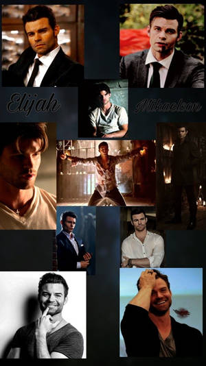 Daniel Gillies Collage Photo Wallpaper