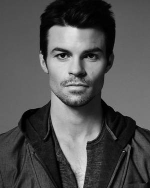 Daniel Gillies Grayscale Wallpaper