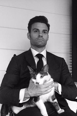 Daniel Gillies With Cat Wallpaper