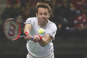 Daniel Nestor With Eye On Ball Wallpaper