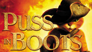 Daring Puss In Boots Wallpaper